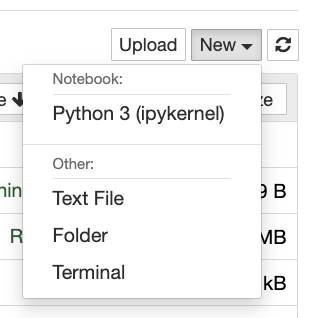Jupyter Notebook Python 3 selection